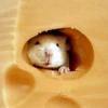 Привороты - последнее сообщение от Мышка норушка